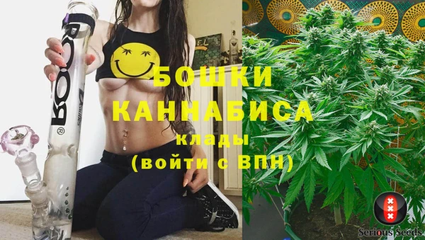 PSILOCYBIN Белоозёрский